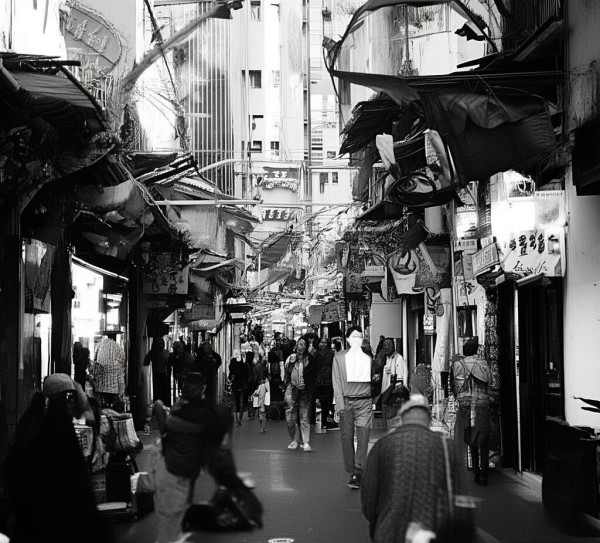 梧桐酒店,高端餐饮体验,品质生活之选 梧桐酒店,高端餐饮体验,品质生活之选