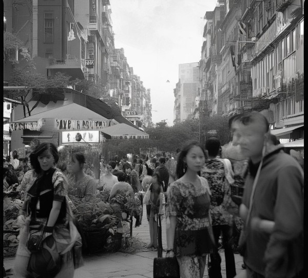 郑州餐饮酒店服务员，专业素养与职业发展的重要性
