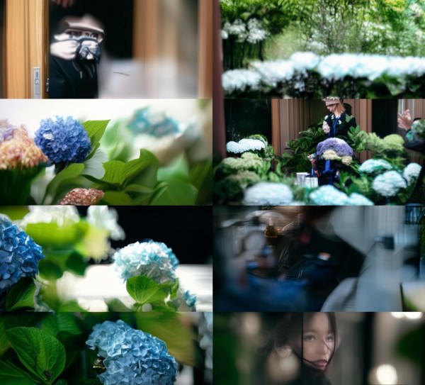 hydrangea酒店服务礼仪,hydrangea酒店视频解析 hydrangea酒店服务礼仪,hydrangea酒店视频解析